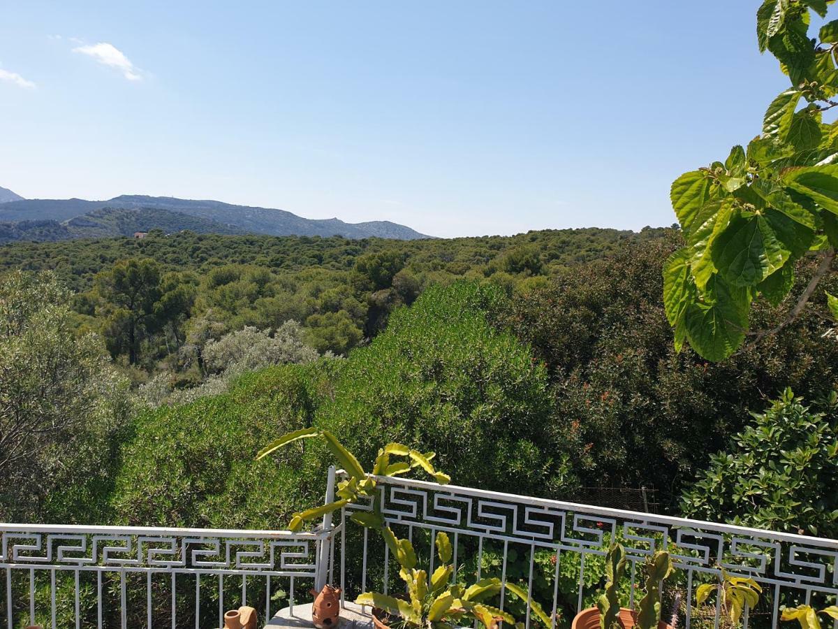 爱琴海文化家庭旅馆 Aegina 外观 照片