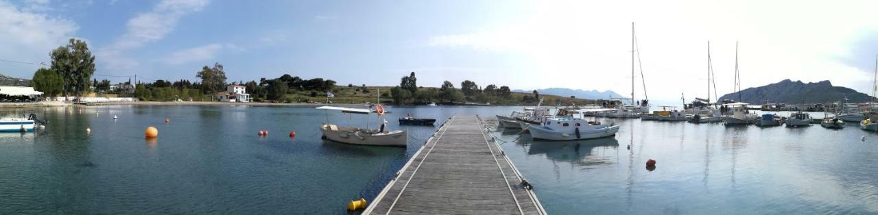 爱琴海文化家庭旅馆 Aegina 外观 照片