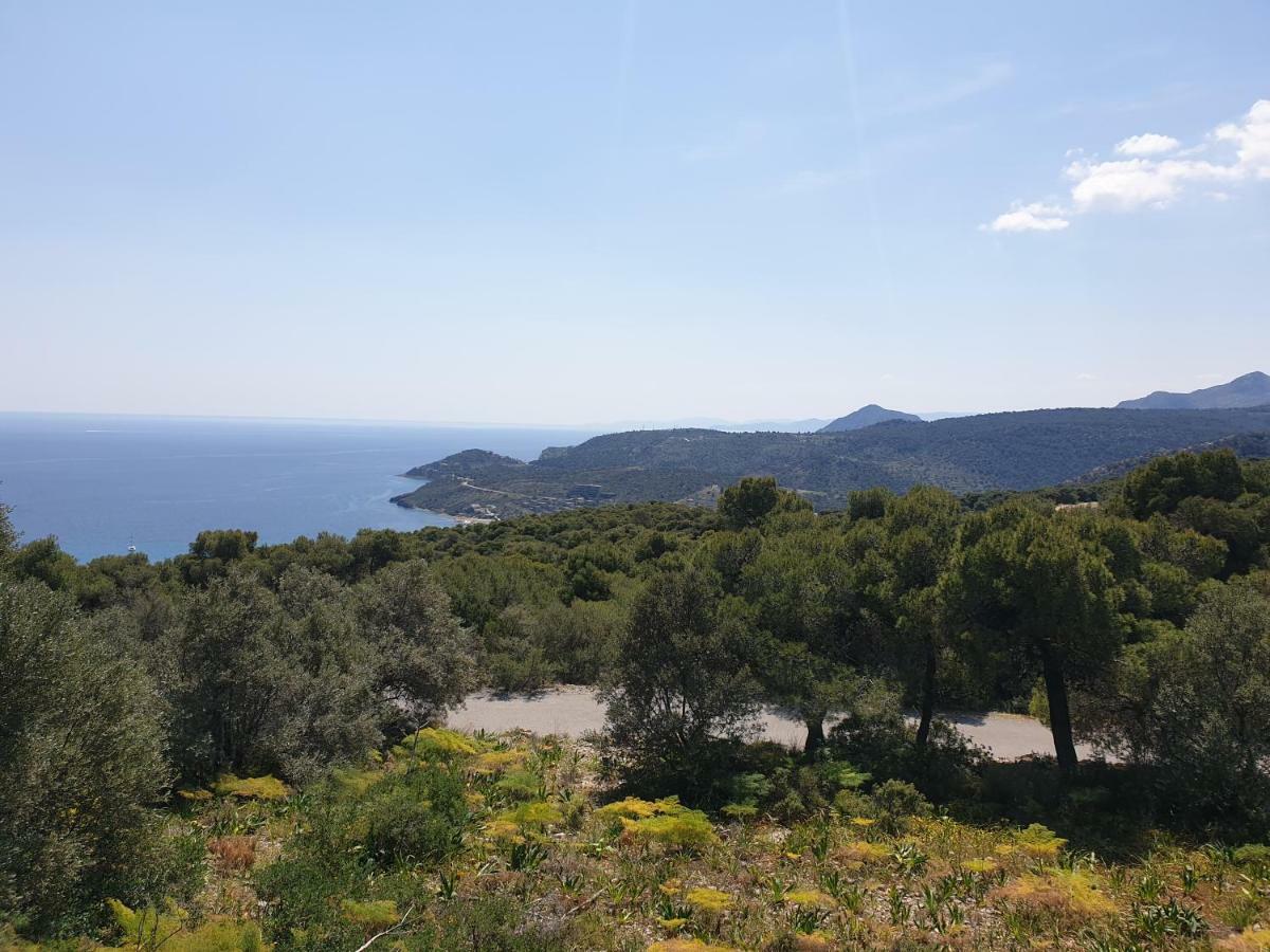 爱琴海文化家庭旅馆 Aegina 外观 照片