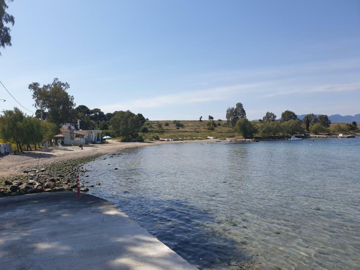 爱琴海文化家庭旅馆 Aegina 外观 照片