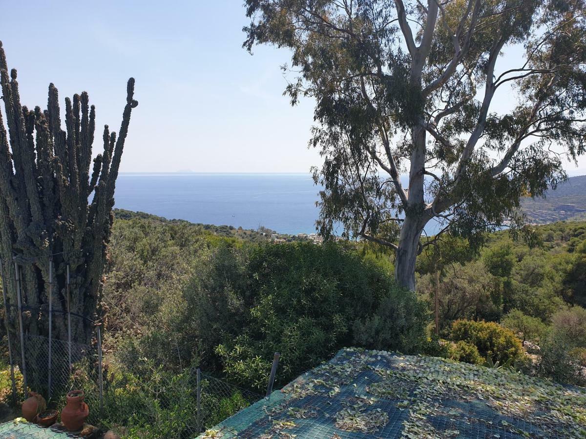 爱琴海文化家庭旅馆 Aegina 外观 照片