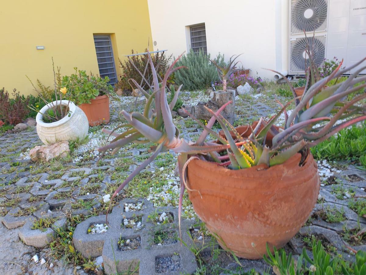 爱琴海文化家庭旅馆 Aegina 外观 照片
